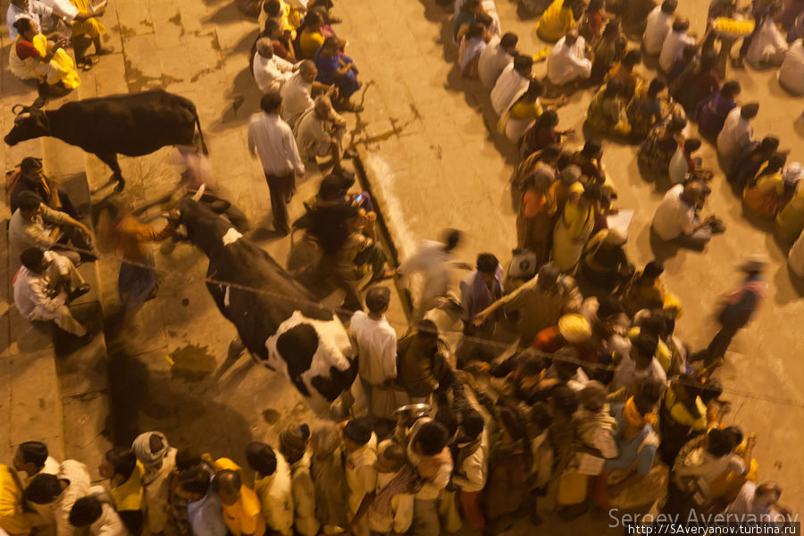 Раздача прасада (освящённой пищи) Варанаси, Индия