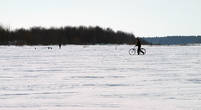 Суровые каргопольские тру-велосипедисты и зимой не используют лыжи!