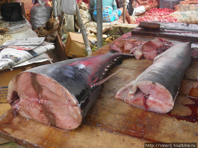 А на рынке — рыба любая, но в разы дороже. Бентота, Шри-Ланка