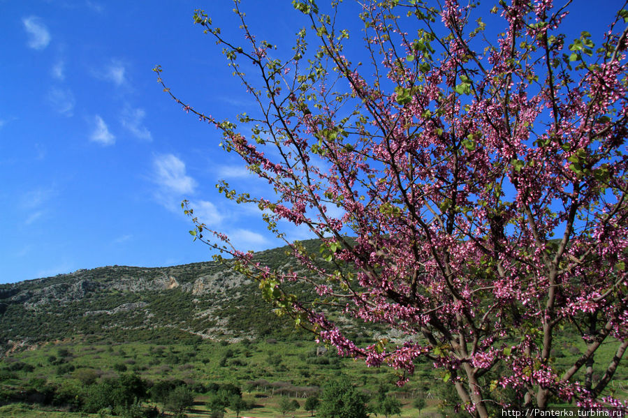 По Западной Турции на колесах: красота горных пейзажей Эгейский регион, Турция