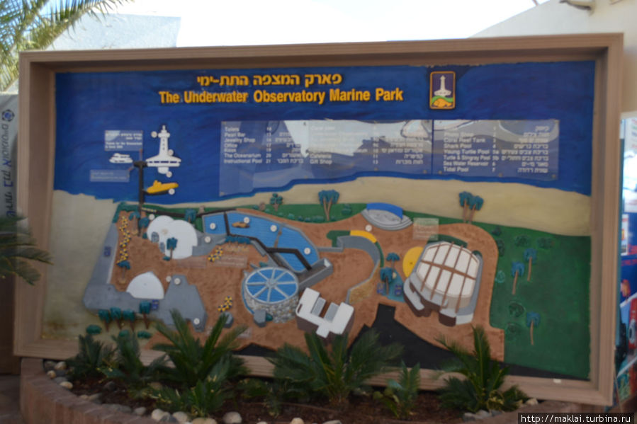 Подводная обсерватория Эйлат, Израиль