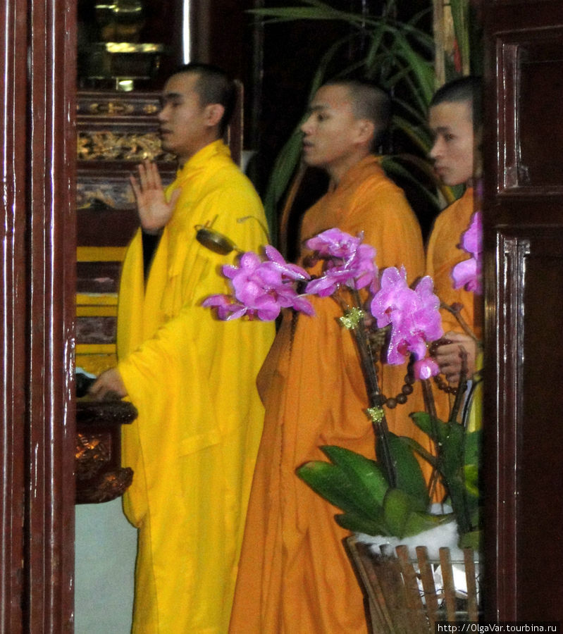 Близко подходить к монахам было запрещено, за этим следил привратник, поэтому качество снимков слегка страдает Хюэ, Вьетнам