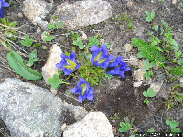 Таежными тропами Междуреченск, Россия Таежными тропами Междуреченск, Россия