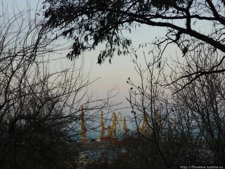 Вид от памятника на порт вечером Одесса, Украина