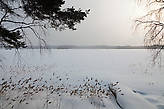 Озеро Масельгское и Тишина