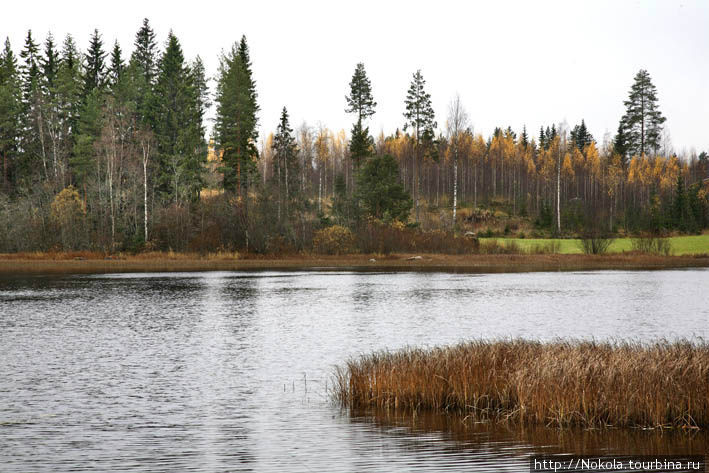 Окрестности Тахко Провинция Северное Саво, Финляндия
