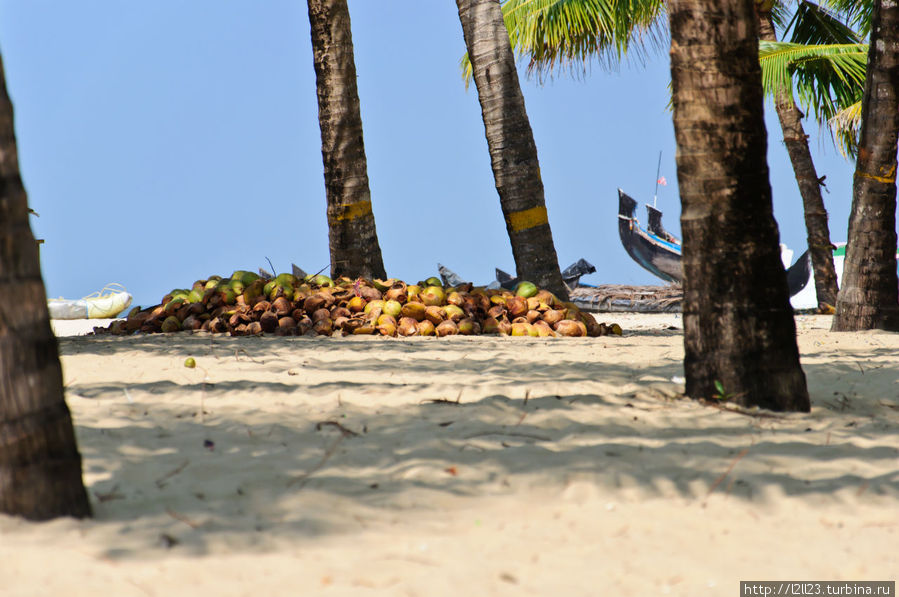 Марари: Секретный Пляж Штат Керала, Индия