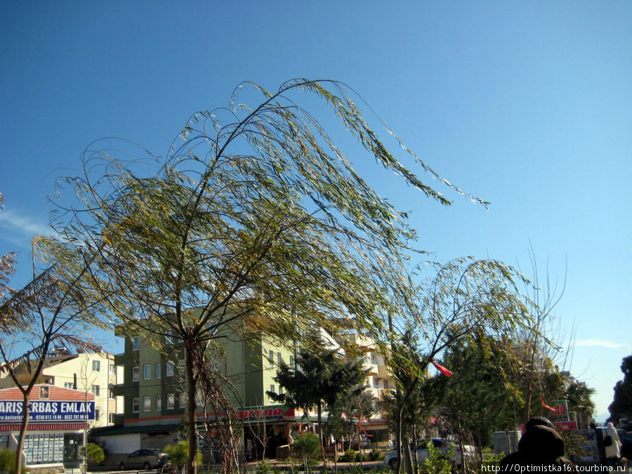 А такой у нас сильный ветер А такой у нас сильный ветер