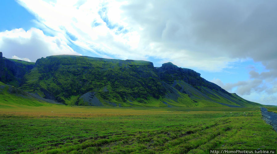 Лес Тора Южная Исландия, Исландия