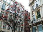 Дерево Рождества
Антверпен