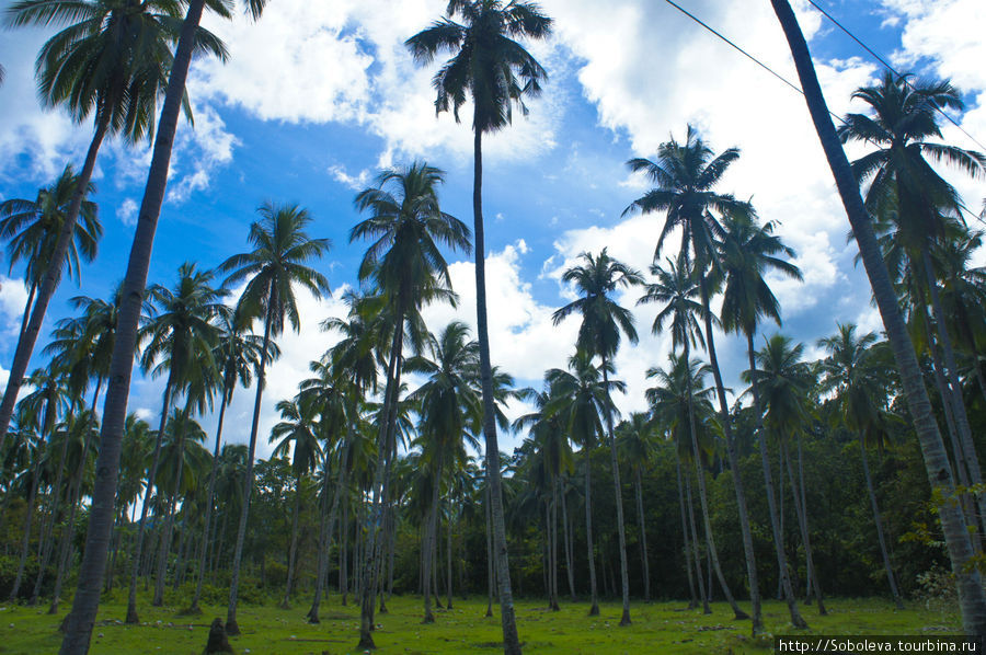 Нереальные краски Эль-Нидо. Часть 2 Эль-Нидо, остров Палаван, Филиппины