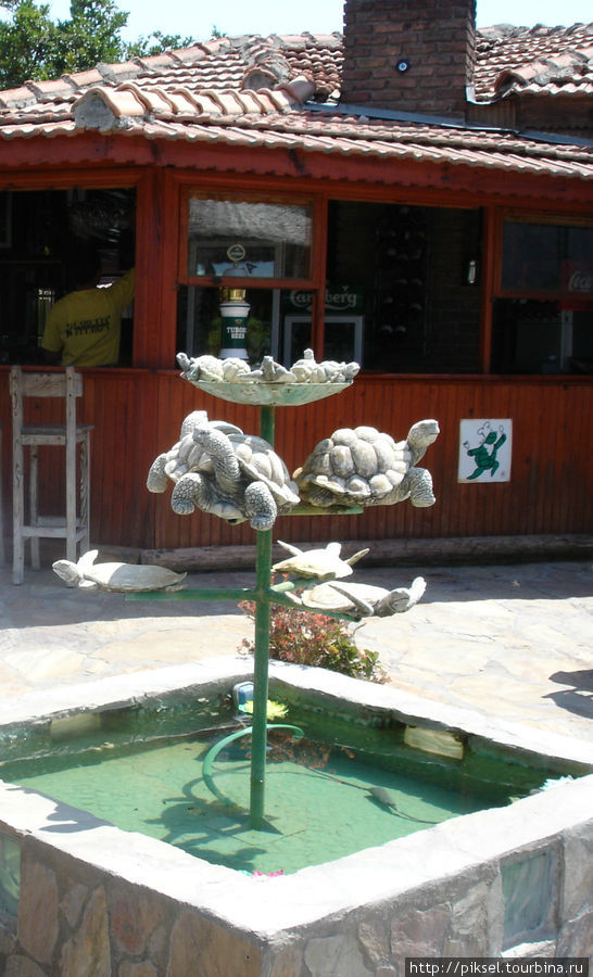 И даже кафешка с черепашками Мармарис, Турция