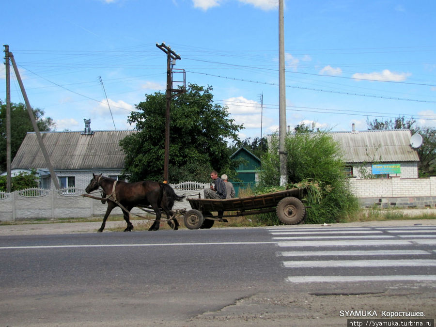 На трассе. Коростышев, Украина