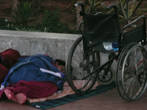 видимо бездомные.... спят в парке