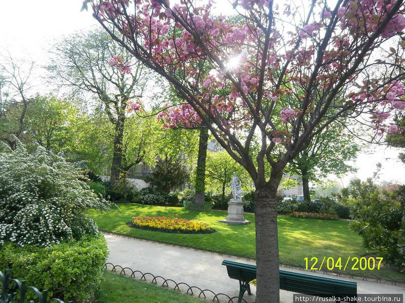 Апрельские цветы и витамины Париж, Франция