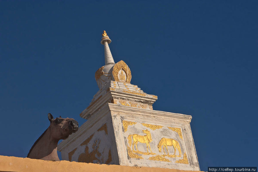 А вот и видна первая голова лошади Увэр-Хангайский аймак, Монголия