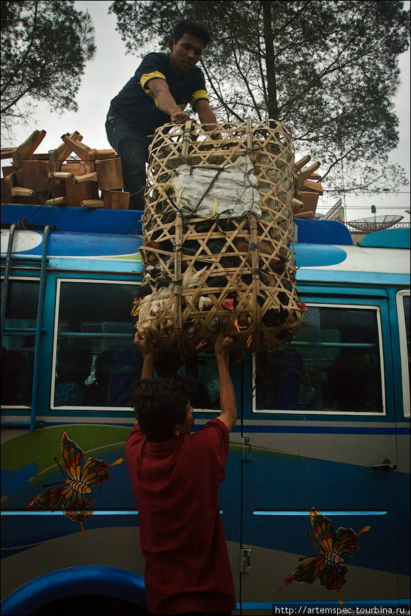Тяжелые и объемные грузы принято перевозить на крыше автобуса. Берастаги, Индонезия