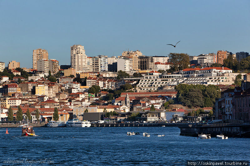 Порту очень старый город, римляне называли его Portus Cale, затем именно это название и переросло в Португалию. 1872 году в Порту запустили трамваи, впервые на всем Иберийском полуострове. Порту, Португалия