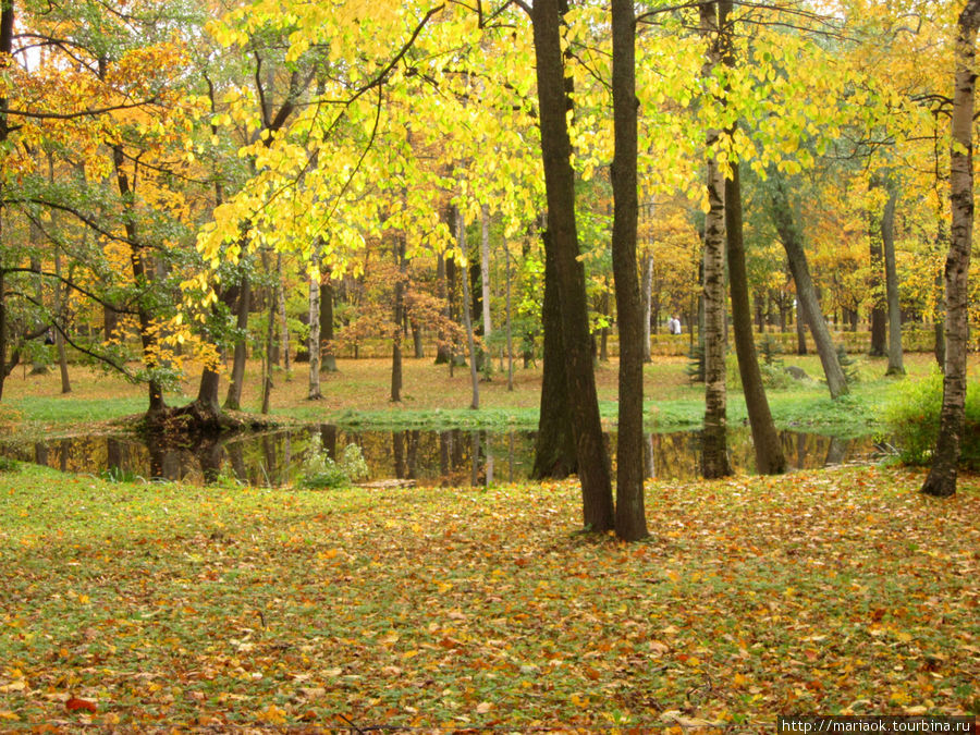 Осенние краски Петергофа Петергоф, Россия