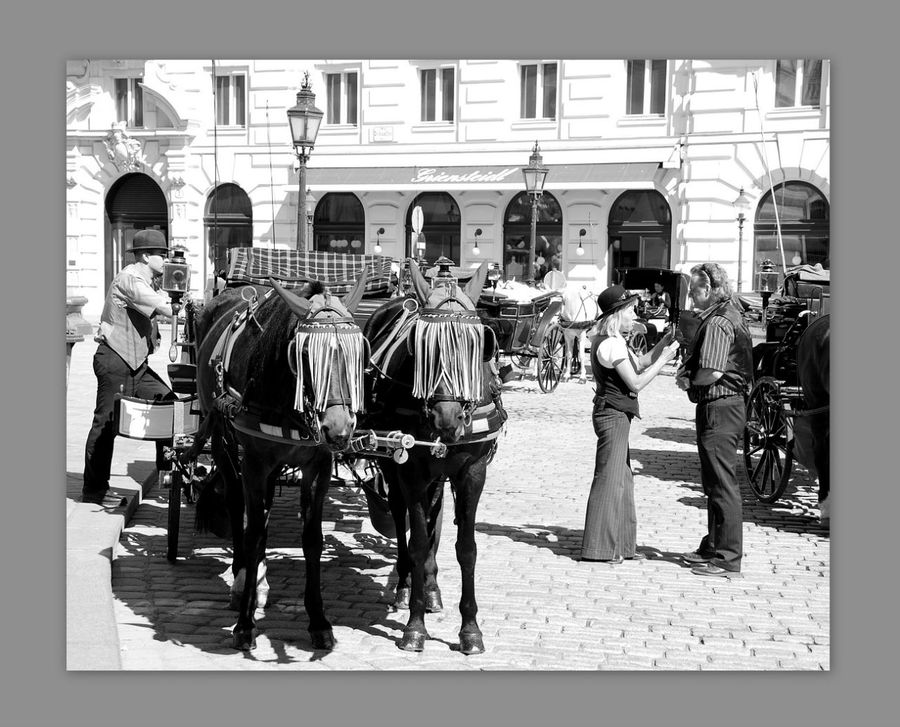 Второе рождение или черно-белый взгляд на имперскую столицу Вена, Австрия