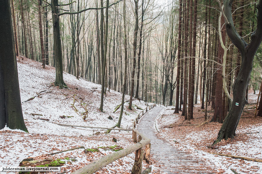 Лес прекрасен в любое время года, даже в холодном феврале. К слову в горах достаточно жарко ,особенно, когда не стоишь на месте. Опытные путешественники еще в начале похода поснимали свитера. Саксонская Швейцария Национальный Парк, Германия