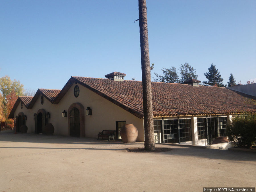 погреба Пирке, Чили погреба Пирке, Чили