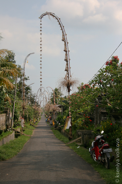 Рисовые террасы рядом с Гунунг Кави Бали, Индонезия