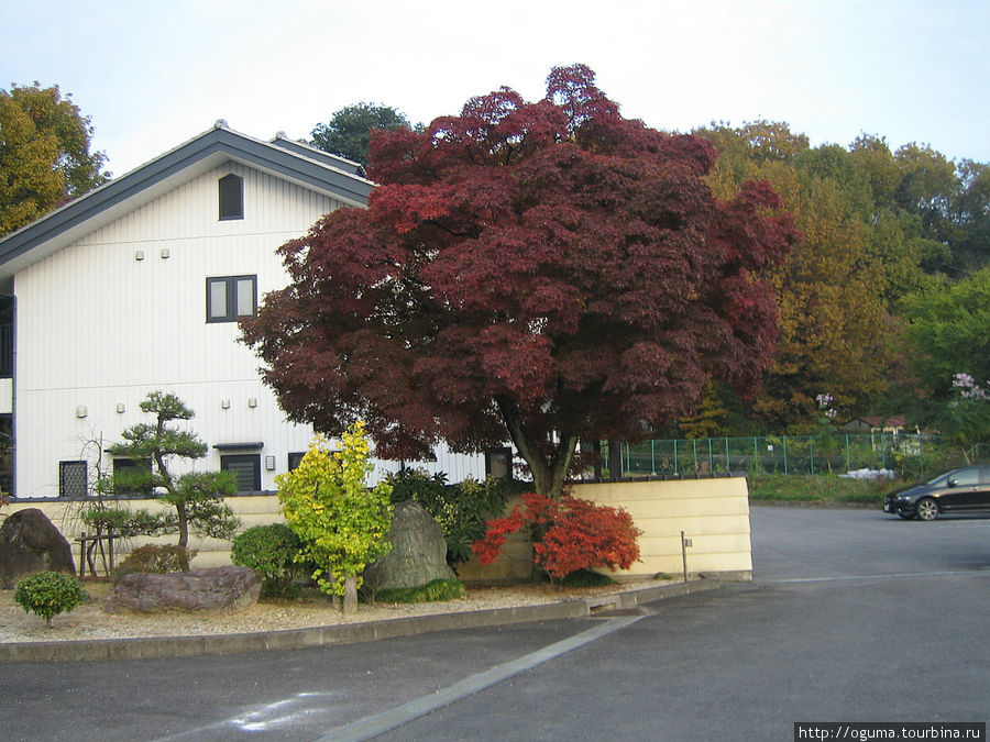 Три цвета осени Инуяма, Япония