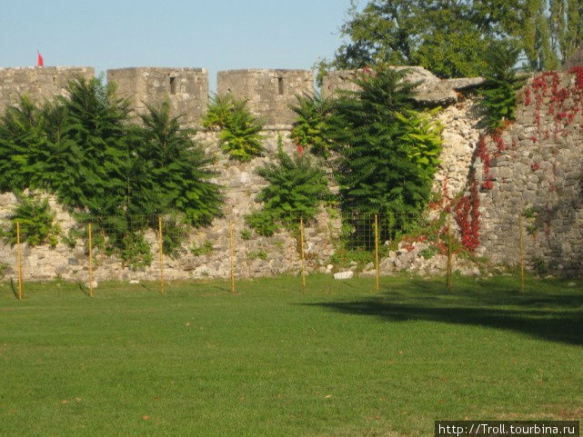 Стена в зеленом и красном Банья-Лука, Босния и Герцеговина
