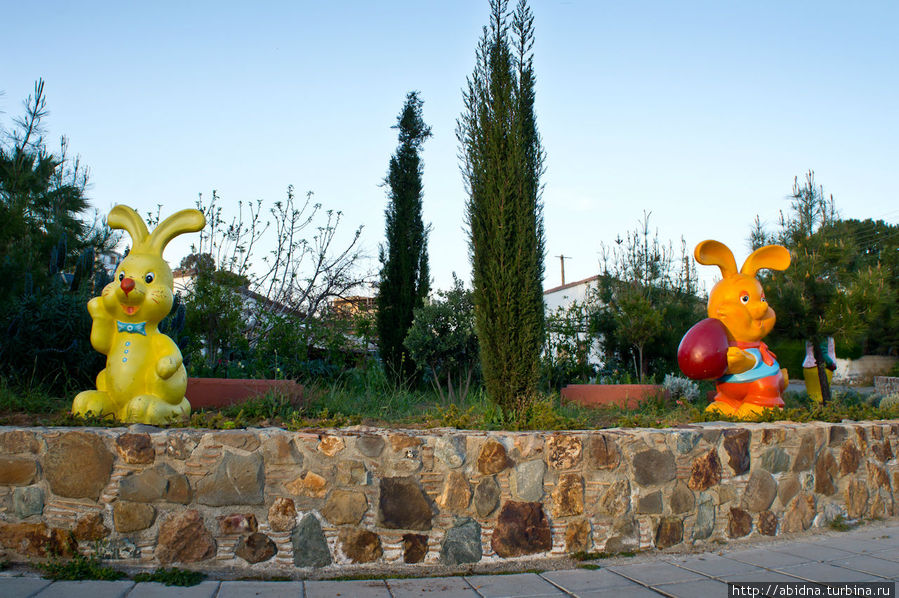 Три зайчонка (третий в кадр не влез) :)) Лимассол, Кипр
