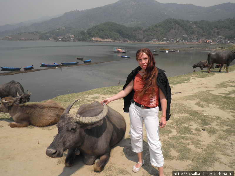 Озеро Фева Покхара, Непал Озеро Фева Покхара, Непал