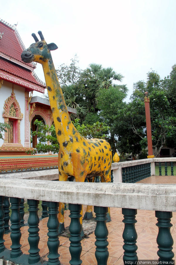 Львы, жирафы и слоны - в монастыре Вьентьян, Лаос