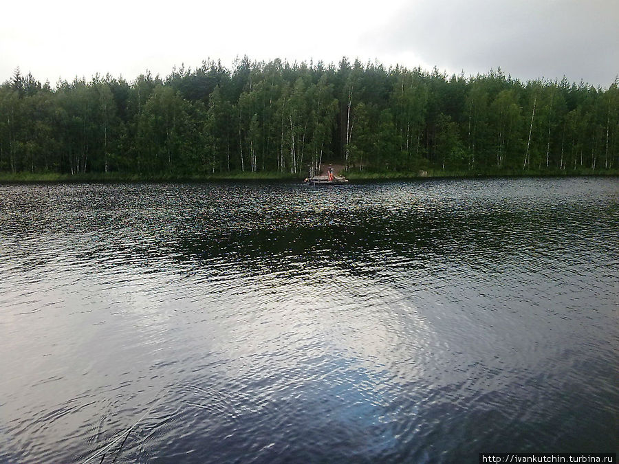 Лисий паром Реповеси Национальный Парк, Финляндия