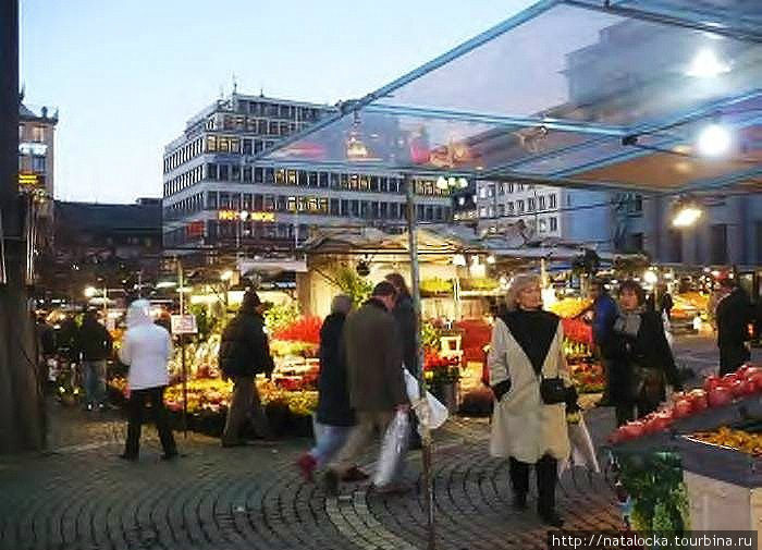 Немного солнца в холодной воде Стокгольма Стокгольм, Швеция Немного солнца в холодной воде Стокгольма Стокгольм, Швеция