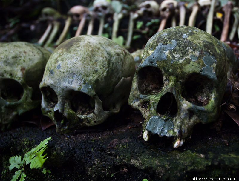 Покойники из Труняна Бали, Индонезия