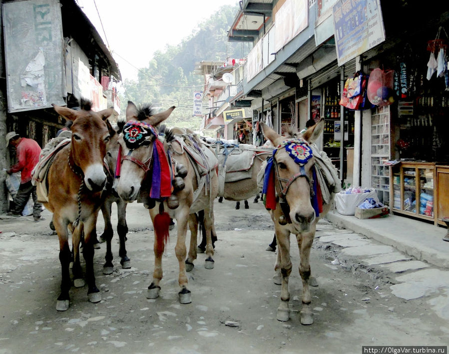 На единственной улице Наяпула Наяпул, Непал