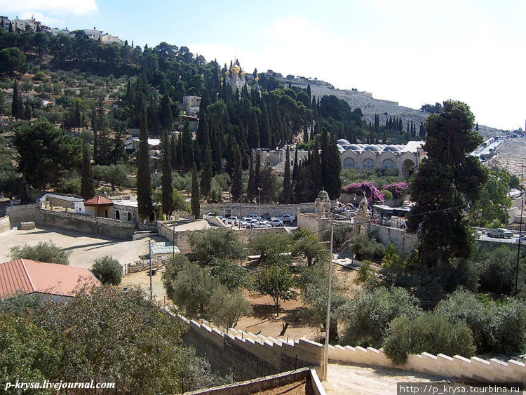 Масличная (Елеонская) гора / Mount of Olives