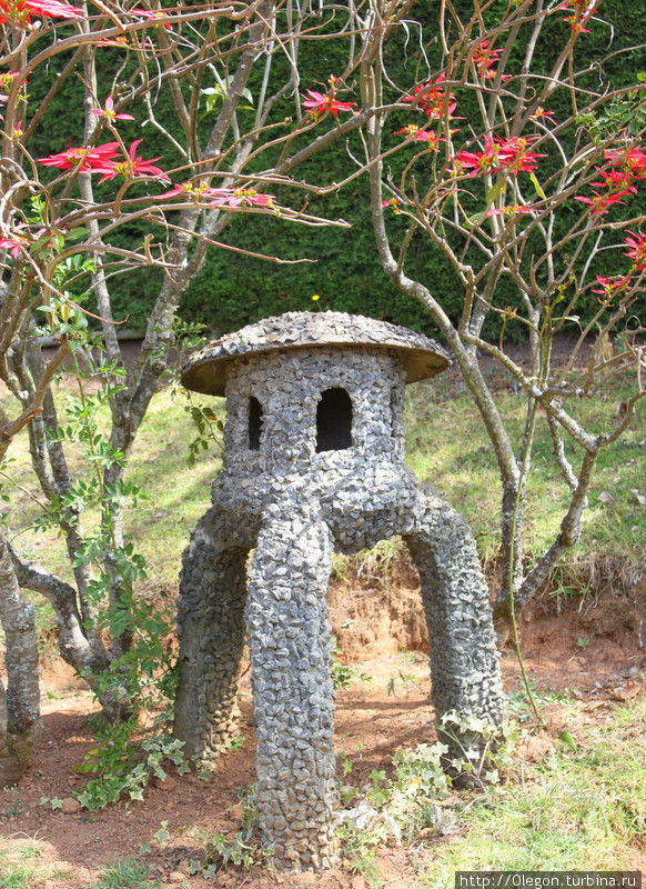 Розовый сад в несезон Ути, Индия Розовый сад в несезон Ути, Индия