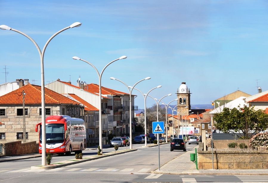 Город журавлей Фигейра-де-Каштелу-Родригу, Португалия