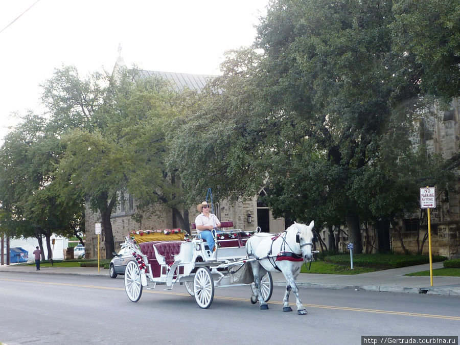 Лошадка  с каретой для экскурсий Сан-Антонио, CША