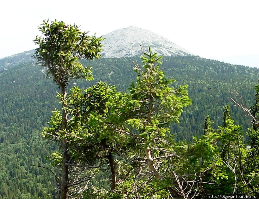 Гора Круглица, как девичья грудь, очень правильной красивой формы Златоуст, Россия