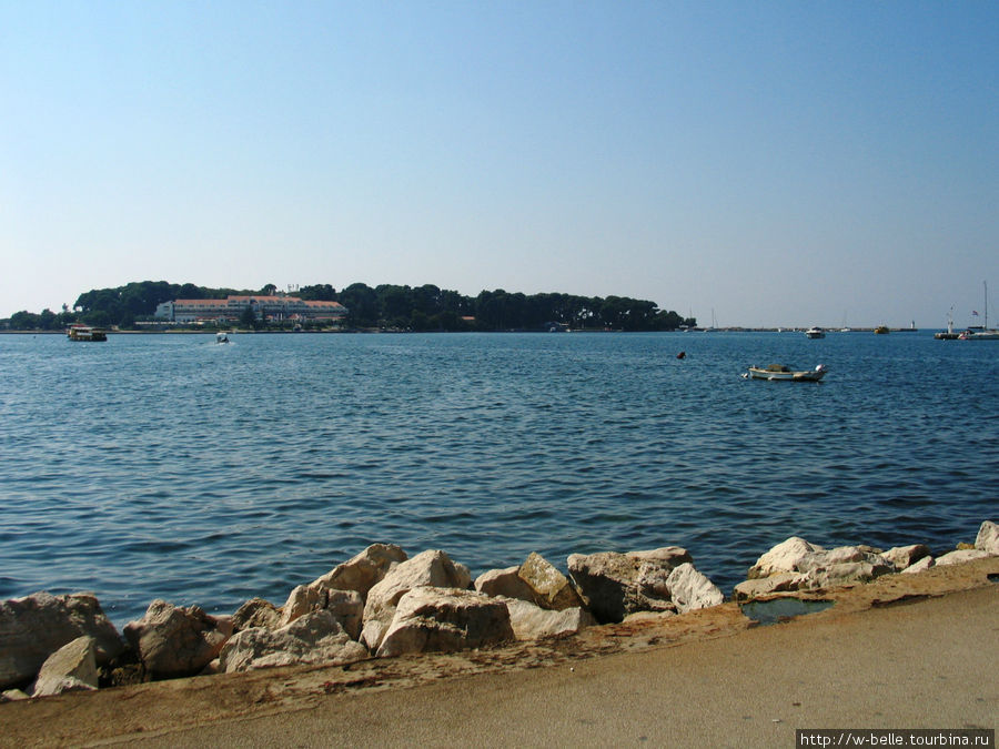 Истрия: сосны и лазурное море Пореч, Хорватия