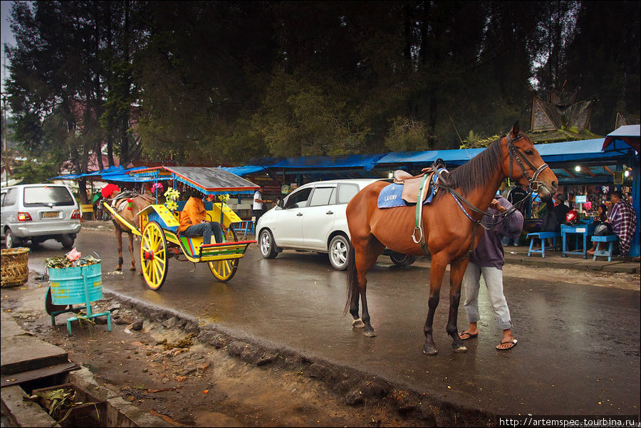 Еще один из традиционных видов транспорта — конная повозка. Берастаги, Индонезия