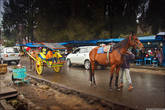 Еще один из традиционных видов транспорта — конная повозка.