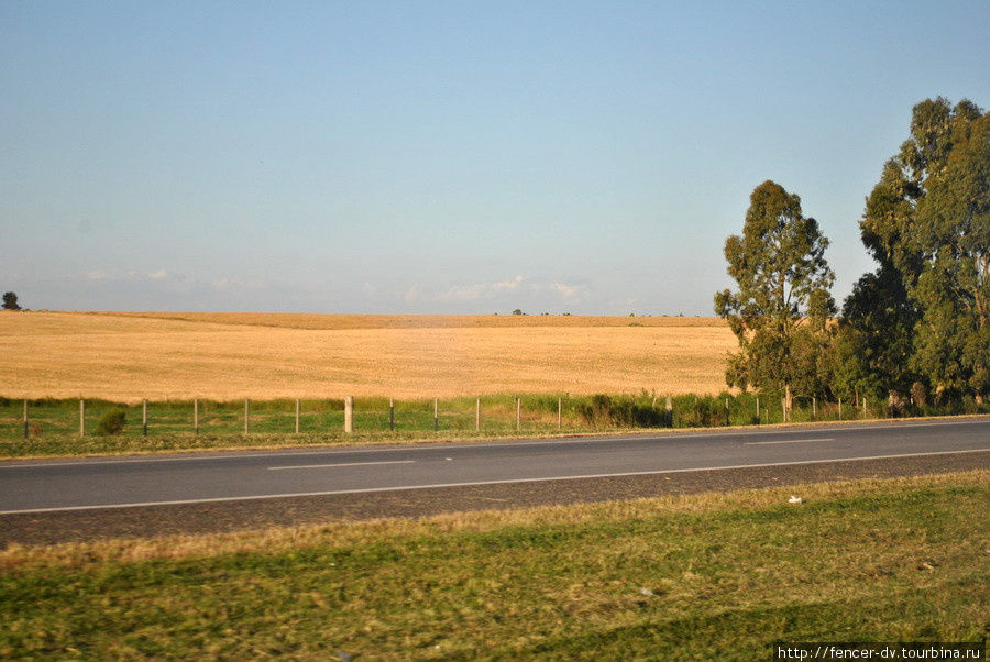 Уругвайская провинция за окном