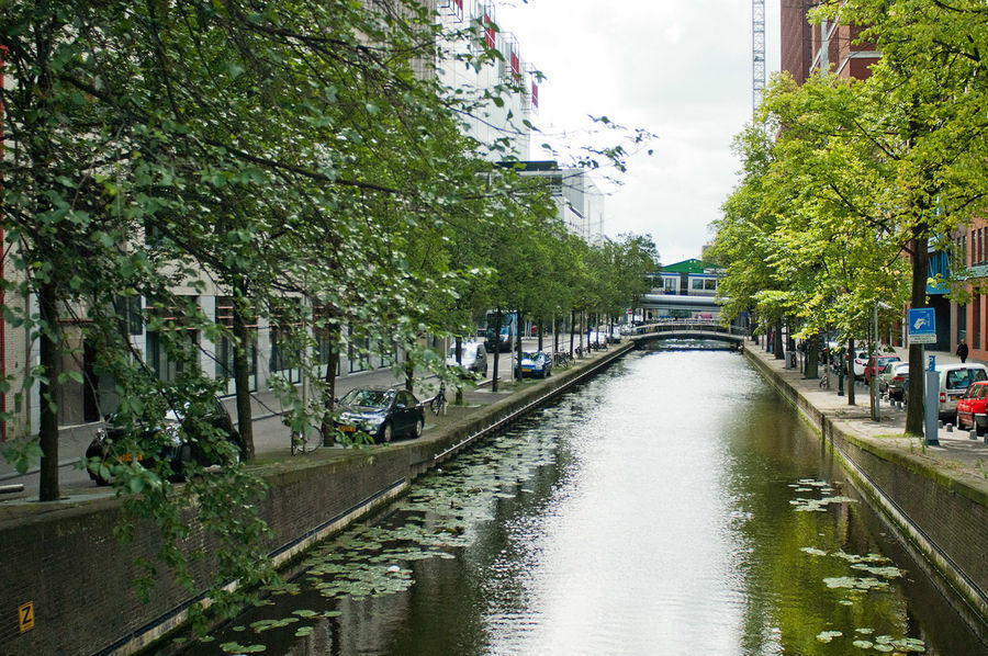 Голландские города всегда радуют свежим воздухом не в последнюю очередь благодаря повсеместным живописным каналам. Гаага, Нидерланды