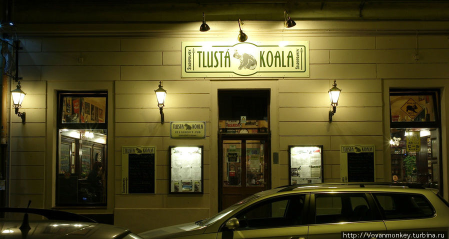 Толстая Коала Прага, Чехия
