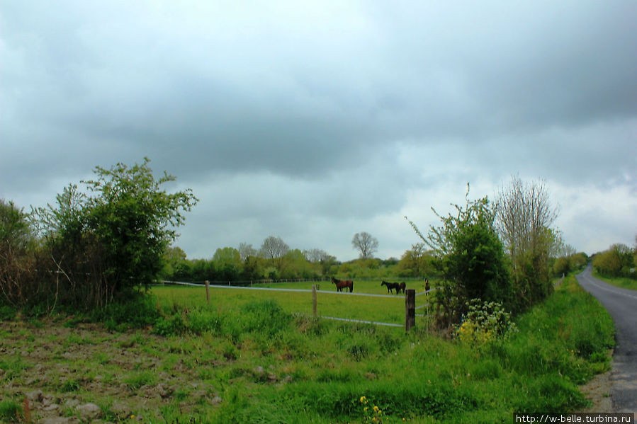 Окрестности замка: луга звенящих колокольчиков Жене, Франция Окрестности замка: луга звенящих колокольчиков Жене, Франция