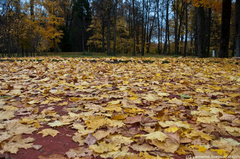 Осень в Горках Горки Ленинские, Россия