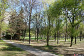 Симпатичный парк на улице Ружинова